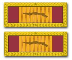 USCG Republic Of Vietnam Gallantry Cross Unit Citation Ribbon Decal