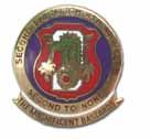 U.S.M.C. 4TH DIVISION 2ND BATTALION LAPEL PIN