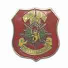 U.S.M.C. 8TH REGIMENT LAPEL PIN