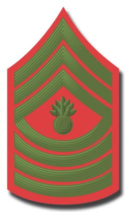 U.S.M.C. E-9 MASTER GUNNERY SERGEANT GREEN / RED CHEVRON DECAL