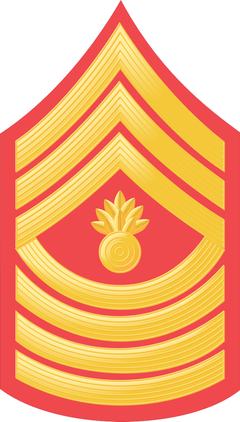 U.S.M.C. E-9 MASTER GUNNERY SERGEANT RED / GOLD CHEVRON VINYL TRANSFER DECAL