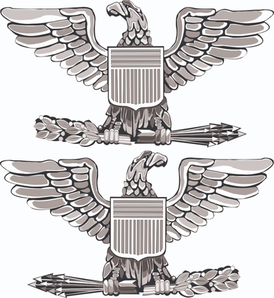 U.S.M.C. O-6 'Bird' Colonel Officers Rank Vinyl Transfer Decal Pair