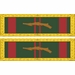 USMC Vietnam Civil Actions Unit Citation Ribbon Decal