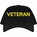 Veteran Text Only USA Cap