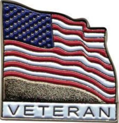 Veteran with American Flag Lapel Pin