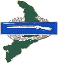 Vietnam CIB Lapel Pin