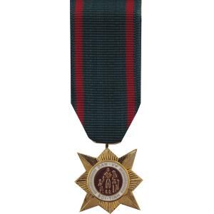 Vietnam Civil Action 2nd Class Medal - Mini