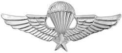 Vietnam Jump Wings 2.25" Pin