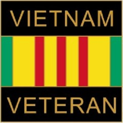 Vietnam Veteran Lapel Pin