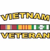 Toppa Militare Vietnam Veteran 'Cuore Viola' – Motociclista, 3-1/4, PM1177 EE