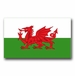 Wales Flag Vinyl Transfer Decal
