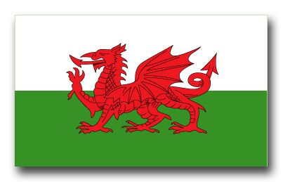 Wales Flag Vinyl Transfer Decal