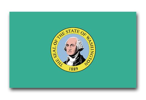 Washington State Flag Vinyl Transfer Decal