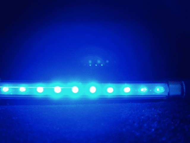12 Inch Blue LED Light Tube - Brighter than Neons