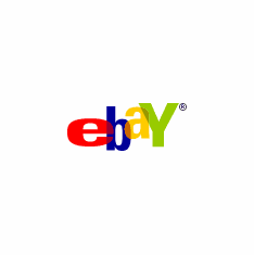 Ebay Ebid Google Auction Direct Credit Card Payments