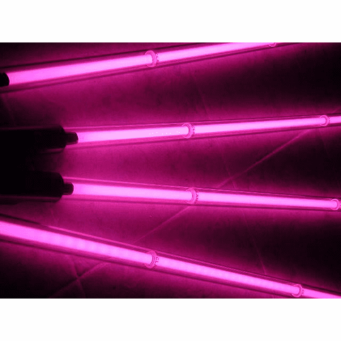 Hot Pink Underbody Neon Car & Suv Kits