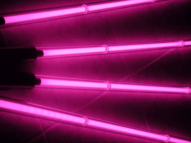 Hot Pink Underbody Neon Car & Suv Kits