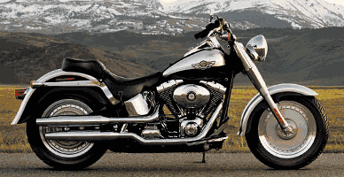 Motorcycle Bulb Guide