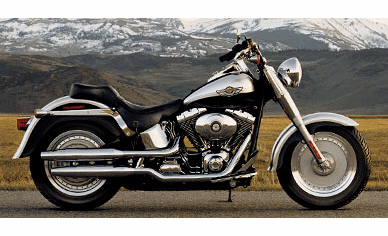 Motorcycle Bulb Guide