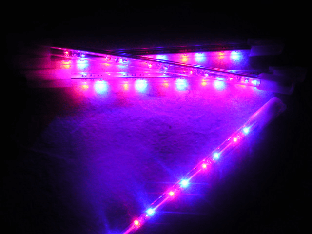 Motorcycle Led Lighting 