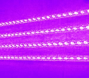 Purple 4pc Underbody LED Kits