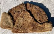 Indian Wars Buffalo fur hat