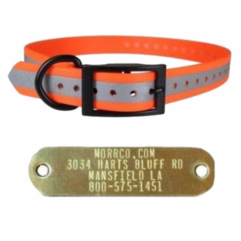 1 in Cut To Fit Beta Dog Collar with Name Plate