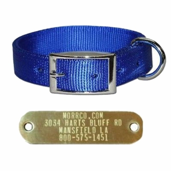 1 in wide 2 ply Nylon Collar and Brass Plate