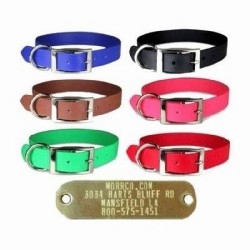 1 in Zeta Collar with Name Plate