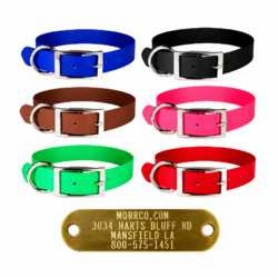 1 in Zeta Collar with Name Plate