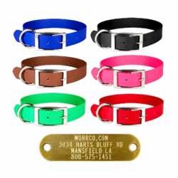 1 in Zeta Collar with Name Plate