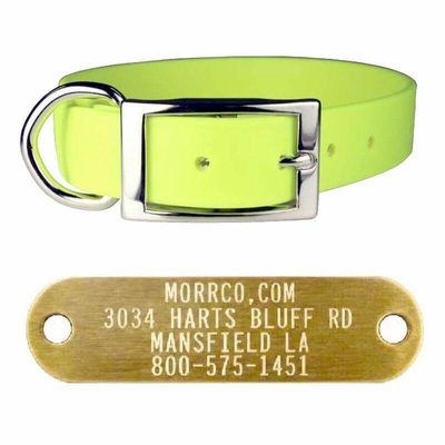 1 in Zeta Collar with Name Plate