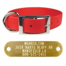 1 in Zeta Collar with Name Plate