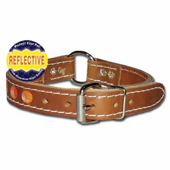 1 inch wide CR Reflective Dog  Collar