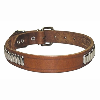 1 inch wide Oblong Studded Bully Collar