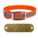 1 inch wide Reflective Sunglo Collar with Name Plate