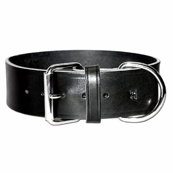 2 inch Wide 1 ply Latigo Leather Dog Collar 