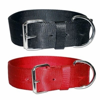 2 inch wide Nylon Dog Collar 