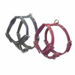 2 Ply Leather Dog Harness With Studs