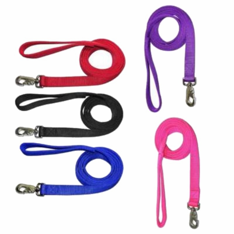 2 Ply Nylon Dog Lead 1 x 4 ft.