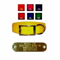 3/4 in collar with Name Plate