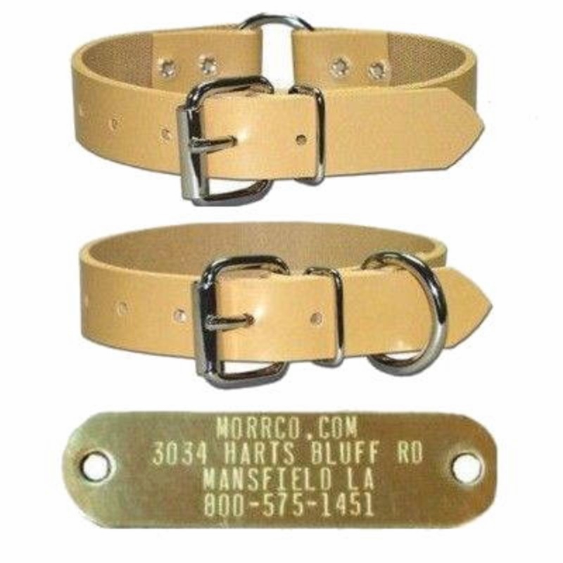 3/4 in Perma Collar with Name Plate