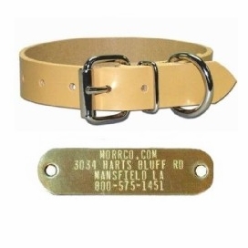 3/4 in Perma Dog Collar with Name Plate 
