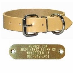 3/4 in Perma Dog Collar with Name Plate 