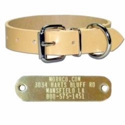 3/4 in Perma Dog Collar with Name Plate 