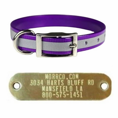 3/4 in Reflective Sunglo Collar + ID Plate