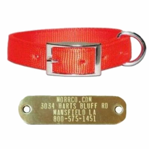 3/4 Nylon Collar and Brass Plate 