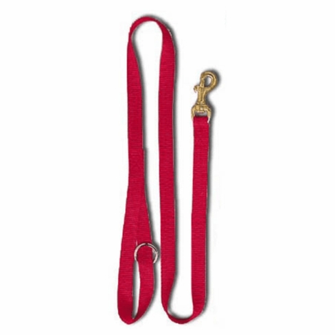 3/4 x 4 ft. Standard Nylon Dog Lead
