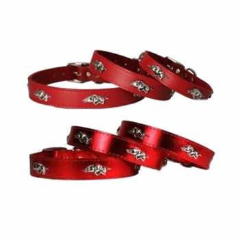 Arkansas Razorbacks Collars