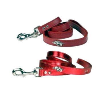 Arkansas Razorbacks Leash